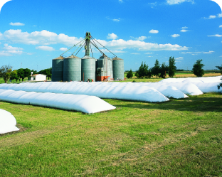 Silo Bags